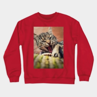 yawning cat Crewneck Sweatshirt